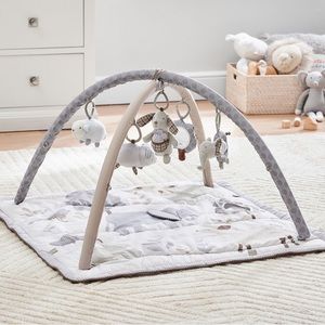 Skip Hop x pbk Animal Friends Classic Activity Gym